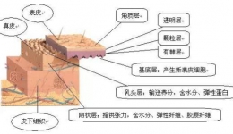 医学护肤品知多少