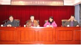 广西皮肤病防治研究所召开2015年工作总结及2016年工作部署会