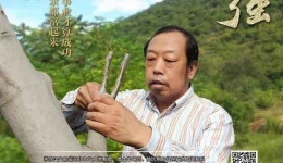 向时代楷模学习致敬 弘扬文明道德新风尚