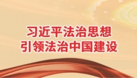 习近平法治思想引领法治中国建设