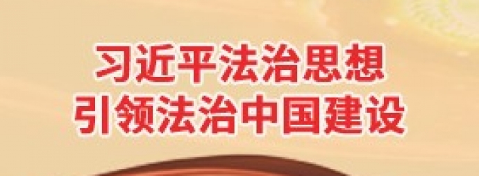 习近平法治思想引领法治中国建设