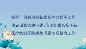 领导干部利用职权或影响力插手工程项目谋私贪腐问题、信访积案久拖不结、医疗物资采购腐败问题专项整治工作