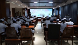 【发展护士队伍优化护理服务】--我院开展国际护士节系列活动
