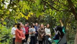 党建引领促发展，联学共建聚合力——广西皮肤病医院第二党支部、第三党支部联合开展主题党日活动