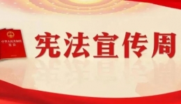 2025年“宪法宣传周”|一起学习宪法知识
